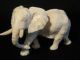 Ox Bone 象牙 Chinese Figure Carving Of An Elepant 6.  5 X 4 Cm Good Cond. Elephants photo 1