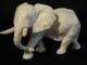 Ox Bone 象牙 Chinese Figure Carving Of An Elepant 6.  5 X 4 Cm Good Cond. Elephants photo 3
