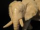Ox Bone 象牙 Chinese Figure Carving Of An Elepant 6.  5 X 4 Cm Good Cond. Elephants photo 4
