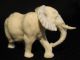 Ox Bone 象牙 Chinese Figure Carving Of An Elepant 6.  5 X 4 Cm Good Cond. Elephants photo 6