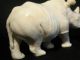 Ox Bone 象牙 Figure Carving Of A Rhino 70 Gram 8.  8 Cm X 4.  3 Cm Excellent Elephants photo 6