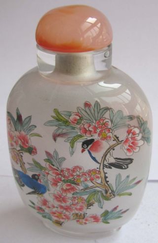 169 Peking Glass Hand Inside Painting Birds On Flowers Snuff Bottle&gift Box photo