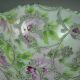 Antique Japanese Bowl Applied Slip Paste Heavy Moriage Green Pink Floral Beads Bowls photo 8