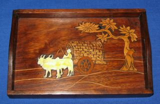 Antique Anglo - Indian Teak Wood Marquetry & Ox Cart Inlaid Dolls Tea Serving Tray photo