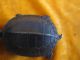 Chinese Ancient Style Bronze Lock Turtle Shape Vivid With Key Other photo 6
