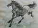 Stunning Antique Japanese Horse Silkscreen Art Framed Prints photo 1