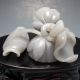 100% Natural Hetian Jade Hand - Carved Statue - - - Lotus Flower Nr/pc1410 Other photo 2