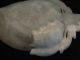 A Good Chinese Celadon Jade Dish In The Form Of A Leaf 19thc Jade/ Hardstone photo 4