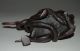 Chinese Copper Archaistic Chilong Turtle & Snake Statue Nr Snakes photo 6
