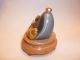 Carved Snuff Bottle - Shaded Grey - Brn Banded Agate W/ Goldfish - Pearl Top & Base Snuff Bottles photo 1