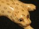 Antique Japanese 象牙 Ox Bone Okimono Flat Figure Leopard Enamel Eyes Signed Netsuke photo 4