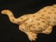 Antique Japanese 象牙 Ox Bone Okimono Flat Figure Leopard Enamel Eyes Signed Netsuke photo 6