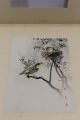Ca 1900 Antique Japanese Sparrow Bird Woodblock Print Painting By Hotei Prints photo 9