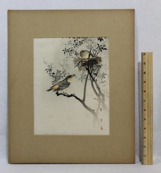 Ca 1900 Antique Japanese Sparrow Bird Woodblock Print Painting By Hotei photo
