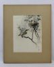 Ca 1900 Antique Japanese Sparrow Bird Woodblock Print Painting By Hotei Prints photo 1