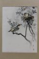 Ca 1900 Antique Japanese Sparrow Bird Woodblock Print Painting By Hotei Prints photo 2