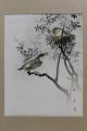 Ca 1900 Antique Japanese Sparrow Bird Woodblock Print Painting By Hotei Prints photo 3