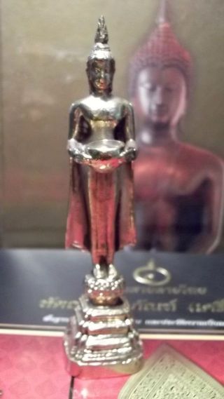 Thai Buddha Standing 