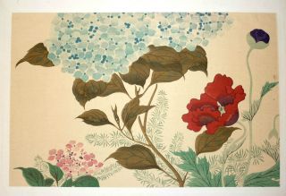 Meiji Period Woodblock Print By Hoitsu Jonin,  Circa 1900. photo