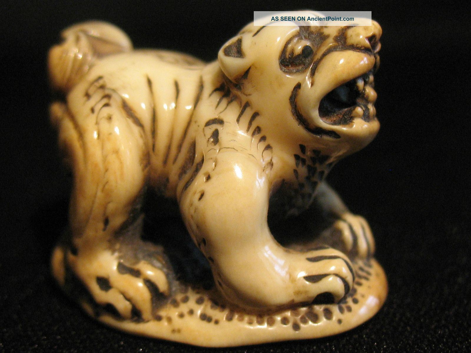 Antique Japanese 象牙 Ox Bone Netsuke Of A Shishi Lion Dog Signed Aizo,  Excellent Netsuke photo