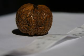 Antique Japanese Netsuke Carved Walnut With Many Little Faces Early 1900 ' S photo