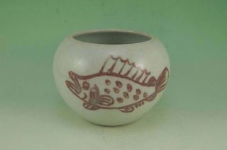 Chinese Qing Underglaze Red Porcelain,  2 Fish Brush - Pen Wash photo