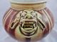 Antique Chinese 18th Or 19th C Oxblood Vase Foo Dog Handles - Mythology Ndragon Bowls photo 1
