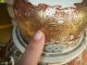 Kyoto Satsuma Foo Dog Lion Jar Urn Emperor Komyo Scroll Japan Edo - Meiji Pottery Pots photo 8