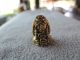 Phra Pidta Yantra Save Luck Wealth Mini Buddha Thai Amulet Statues photo 2