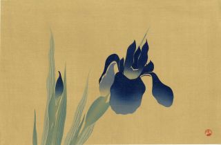 Korin Japanese Woodblock Print Iris Shima Art Co.  1930s photo