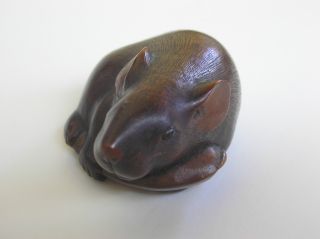 19th Century Ikkan In His 75th Year Rat Netsuke Authenticated By Major H photo