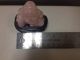 Hand Carved Rose Quartz Happy Buddha With Wooden Stand Buddha photo 4