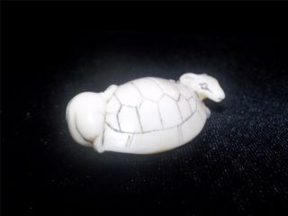 Antique Japanese Ox Bone Netsuke,  With Rats In A Turtle Shell Signed Ca 19th C. photo