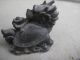 Chinese Bronze Statues Turtle Body Dragon Head Vivid Exquisite 07 Other photo 5