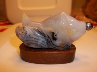Carved Snuff Bottle - Two Goldfish - Greyish Banded Agate - Pearl Top And Wood Base photo