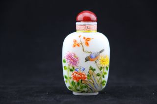 Exquisite Chinese Flower&bird Hand Painted Glass Snuff Bottle - S00009 photo
