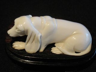 Ox Bone 象牙 Figure Carving Of A Spaniel Dog photo