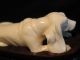 Ox Bone 象牙 Figure Carving Of A Spaniel Dog Elephants photo 1