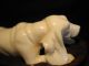 Ox Bone 象牙 Figure Carving Of A Spaniel Dog Elephants photo 3