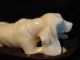 Ox Bone 象牙 Figure Carving Of A Spaniel Dog Elephants photo 5