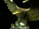 Exquisite Bronze: Eagle Youth Pre - Employment Birds photo 3