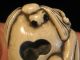 Rare Antique Japanese 象牙 Ox Bone Netsuke Free Form Dragonfly Bat Enameled Signed Netsuke photo 4