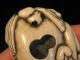 Rare Antique Japanese 象牙 Ox Bone Netsuke Free Form Dragonfly Bat Enameled Signed Netsuke photo 5