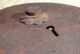 Iron Tansu Drawer Lock / Set Of 2 / Japanese / Antique Other photo 5