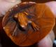Amazing ' Surprise ' Netsuke Hidden Frog Design Expertly Carved C20th Signed Rare Netsuke photo 3