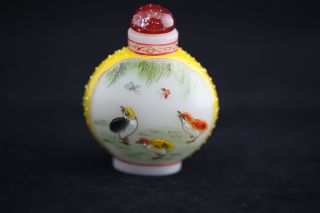Exquisite Chinese Flowers And Birds Colored Enamel Glass Snuff Bottle - S00016 photo