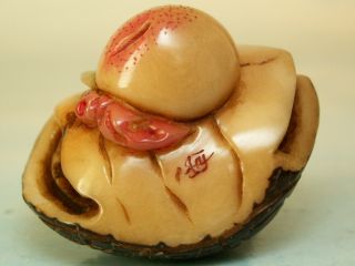 Peach & Turtle Shell - Good Luck & Good Health Netsuke Ukn863 photo
