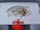 Finest H - Engraved Japanese Sterling Silver Fan By Takehiko Glass Case & Box Other photo 11