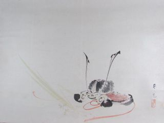 Tx867 Artist:shunko Yoroi Samurai Helmet  japanese Kakejiku Hanging Scroll photo