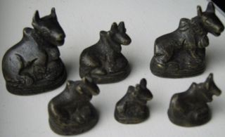 Thailand Set Of Six Water Buffalo Weights For Antique Balance Scale - photo
